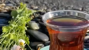 Акція. Туреччина