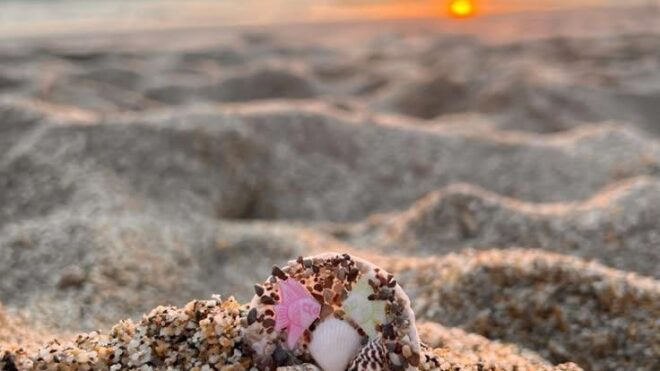 Рекомендація від нашого менеджера Олени Олійник — Caretta Beach 4